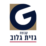 gazit globe logo